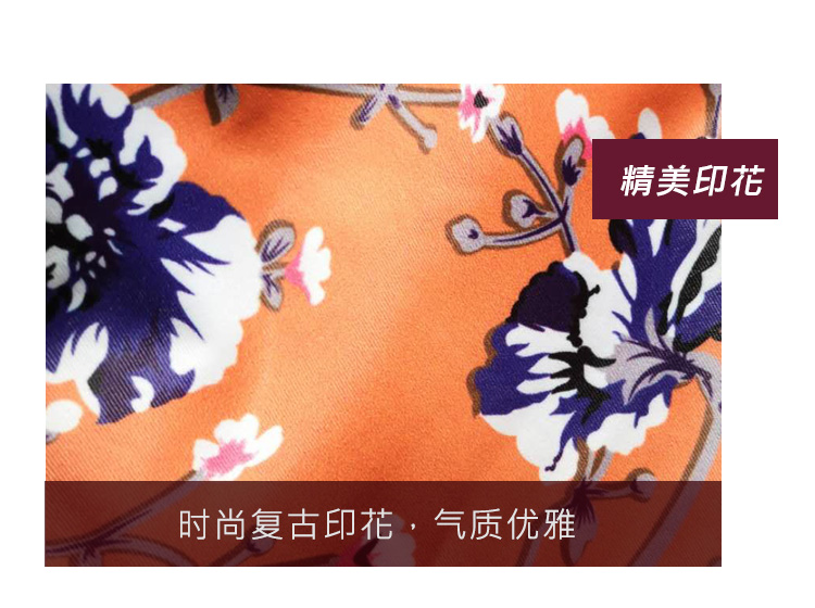 芭尔乐网纱短袖印花舞蹈练功服02B1919